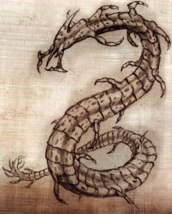 File:Amedian gutworm01.jpg