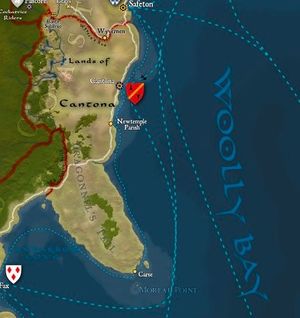 Anna B Meyer's Cantona.jpg